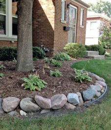 Cobble Border and Hostas