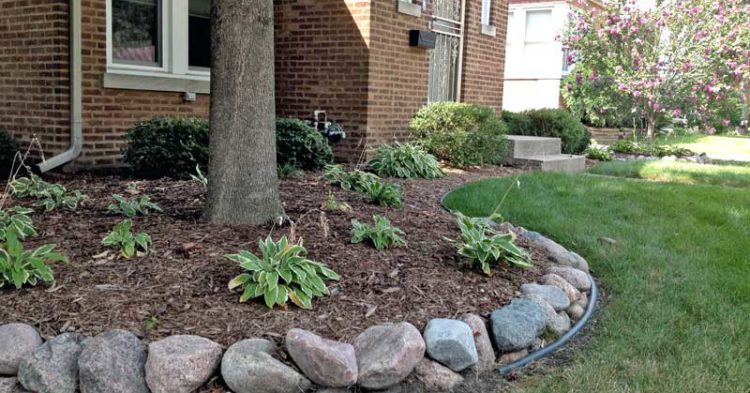 Cobble Border and Hostas