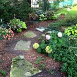 Garden Planting & Maintenance