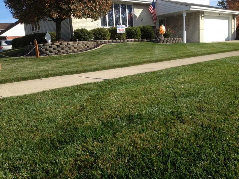 Weekly yard maintenance deals