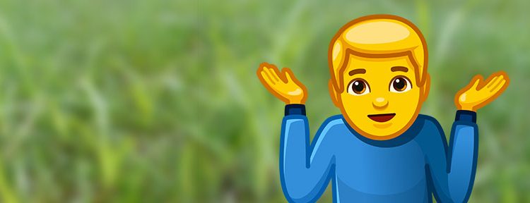 the lawn problem with NO SOLUTION!!!