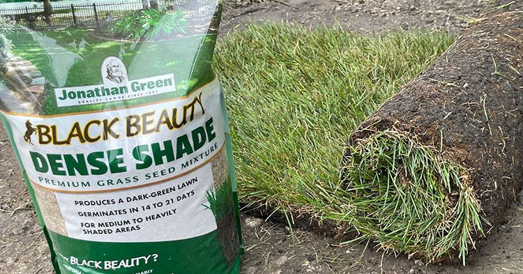 Lawn Repair