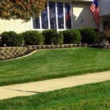 Weekly Lawn Maintenance