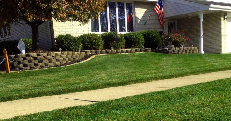 Weekly Lawn Maintenance